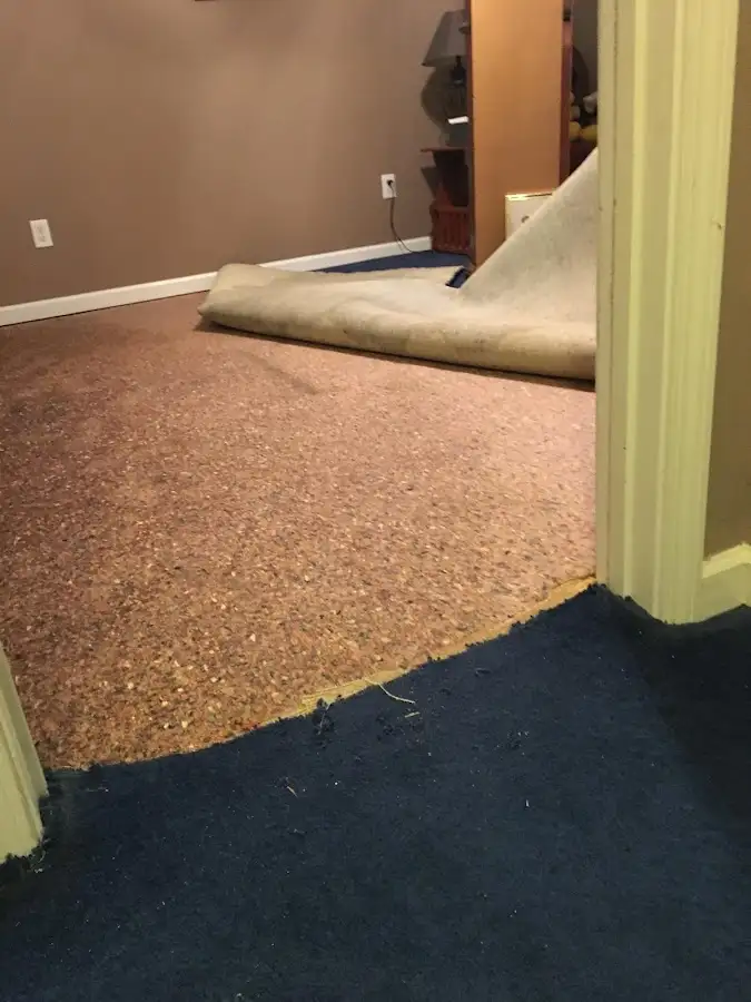 Carpet pad removal revealing water damage during Water Mitigation Services in Indian Harbour Beach