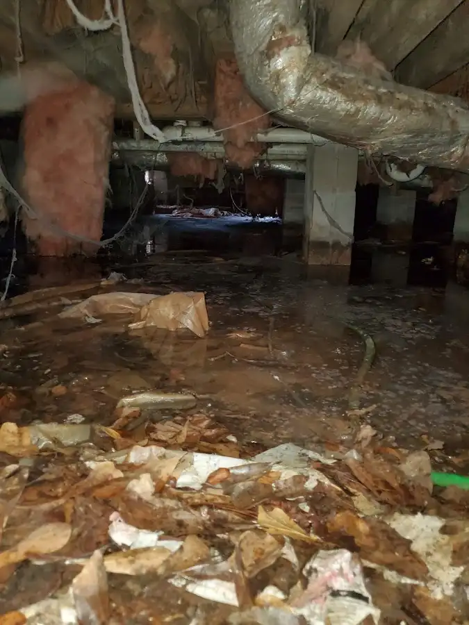 Crawl space flood assessment for Leak Detection & Repair in Indian Harbour Beach